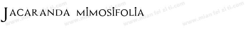 Jacaranda mimosifolia字体转换